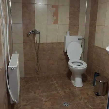 Pensiune Branimirovata House *