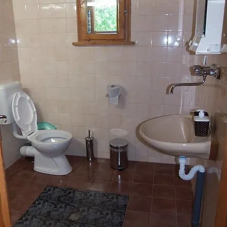 Pensiune Branimirovata House *